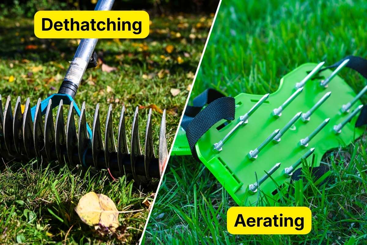 Photo illustration showing aerating and dethatching tools