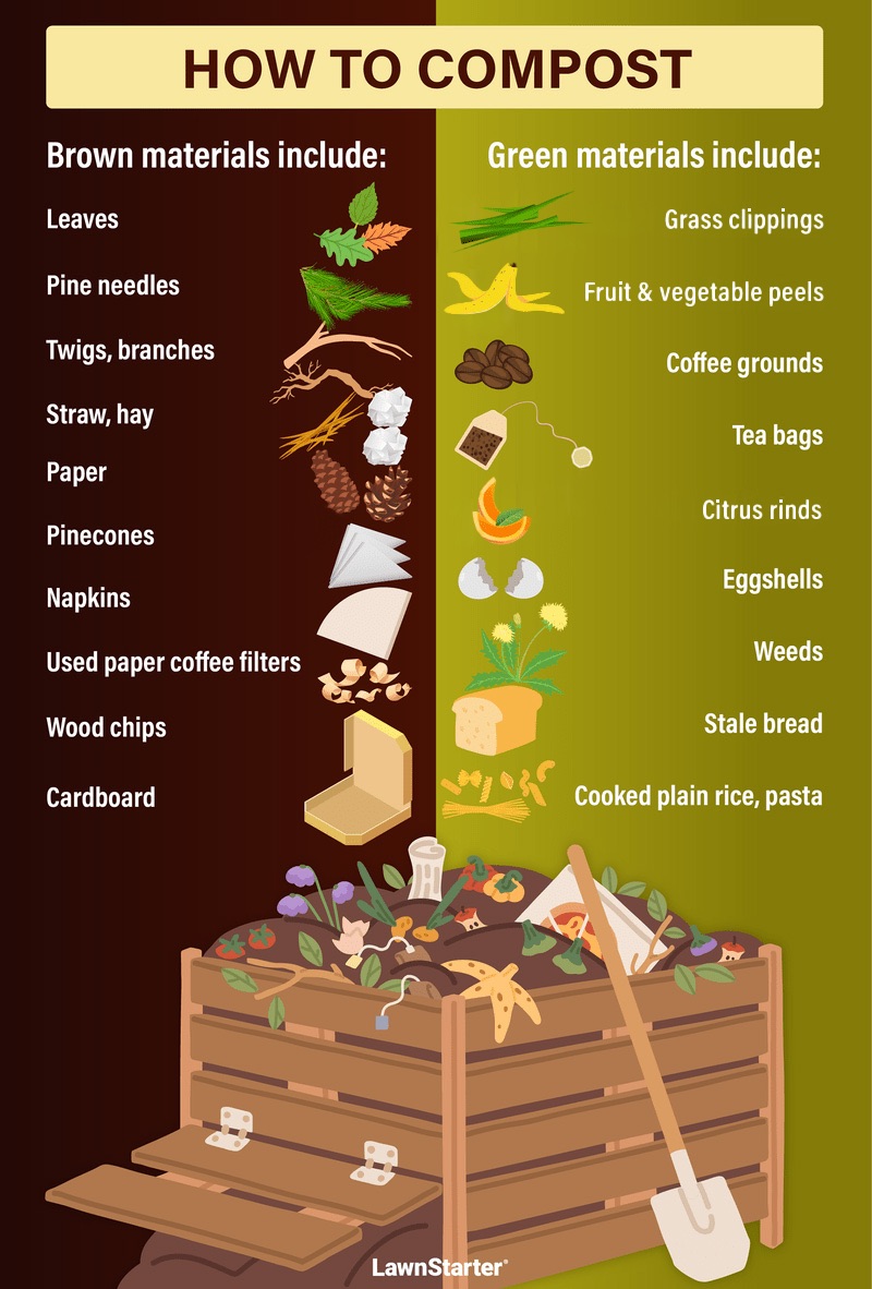 Infographic titled “How to Compost” lists brown and green compost materials above an open compost bin, with illustrated scraps and shovel.