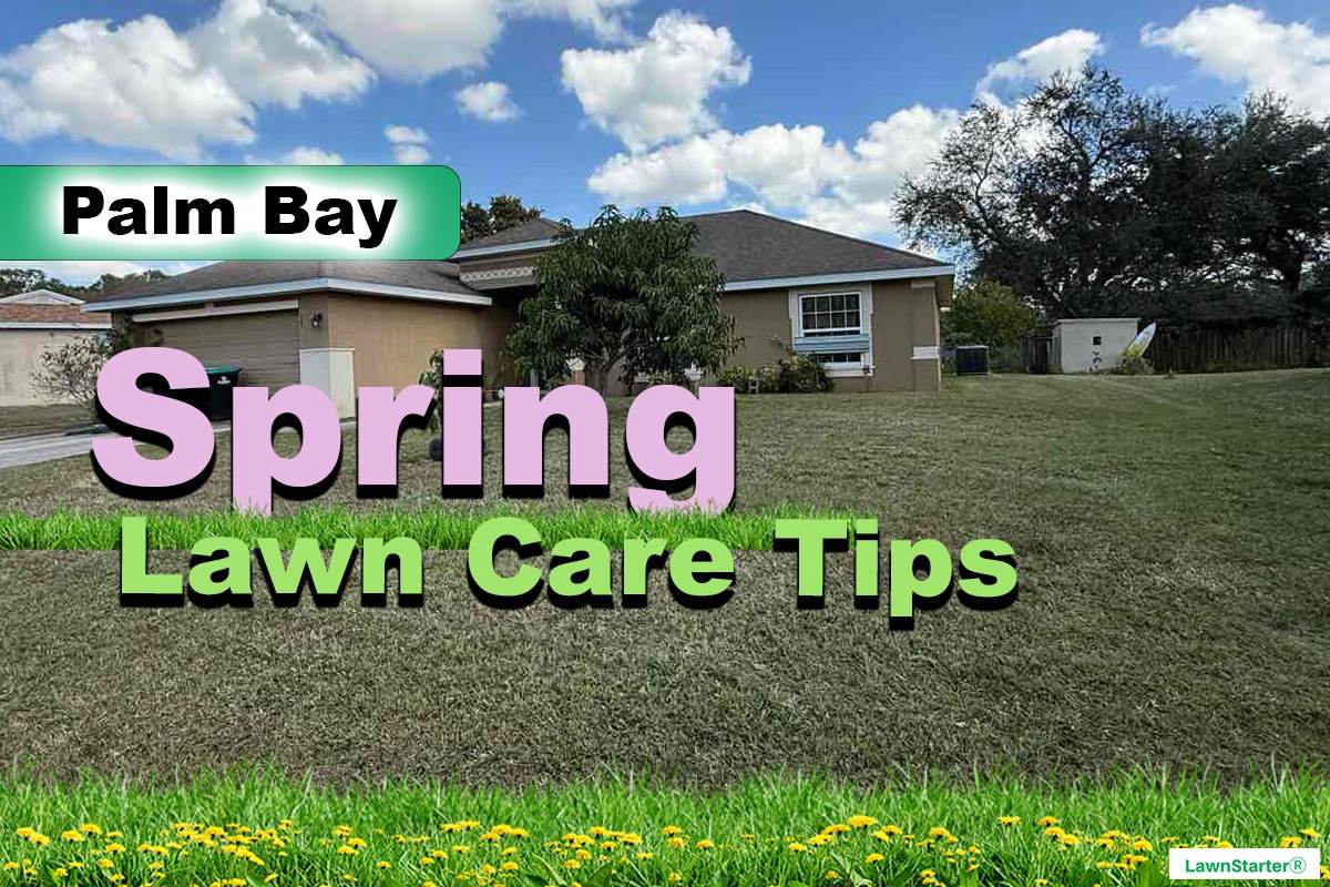 Palm Bay, FL Spring lawn care