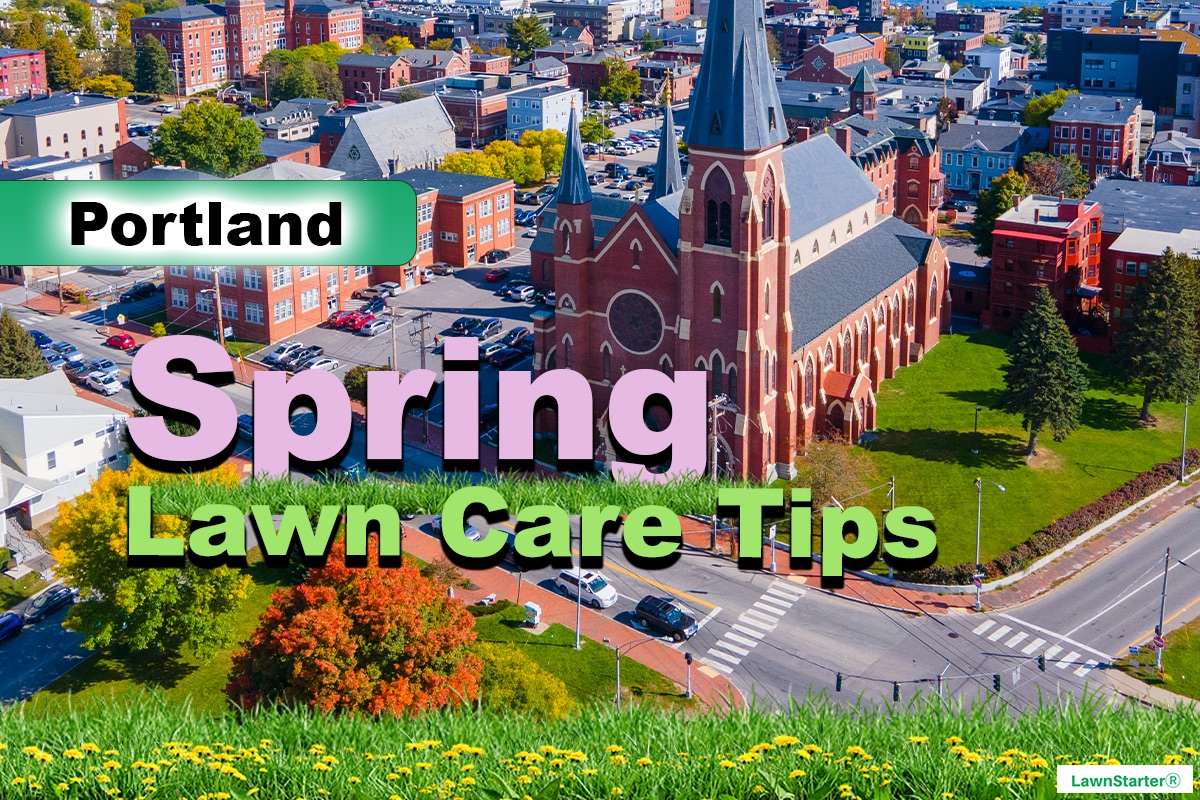 Portland Cathedral of the Immaculate Conception in downtown Portland, ME