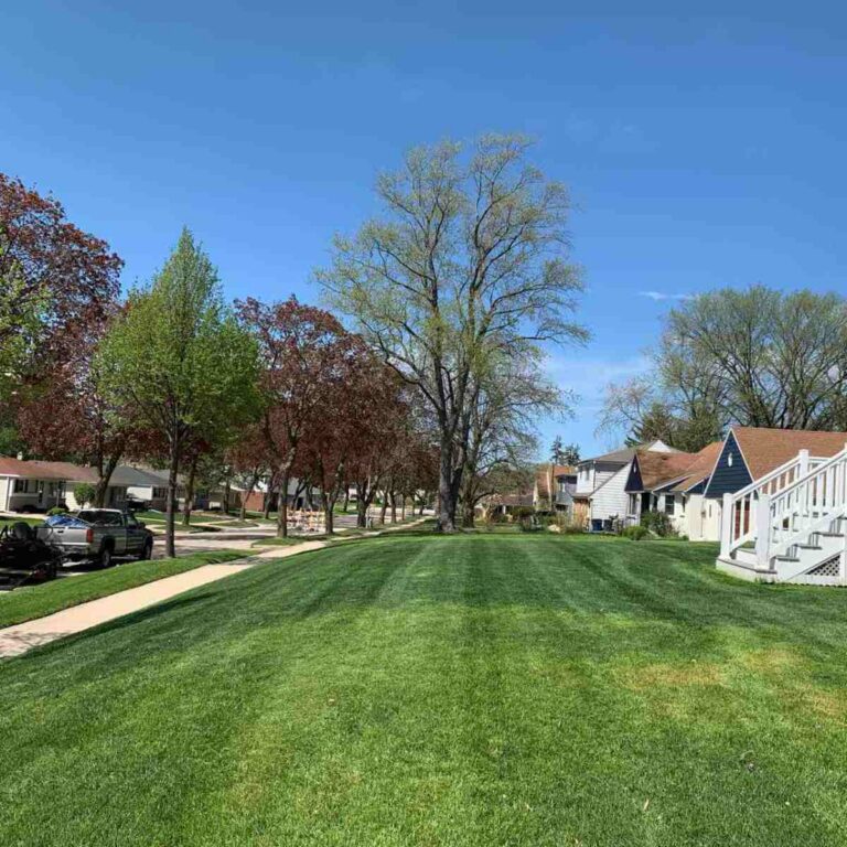 A freshly mowed lawn in Milwaukee, WI