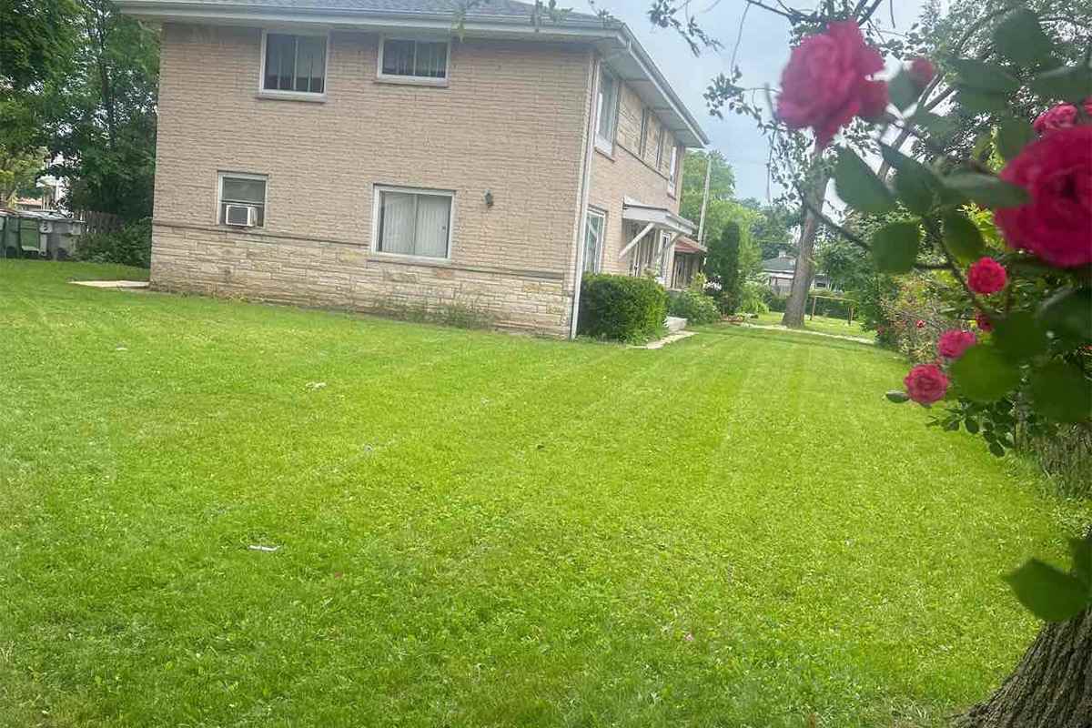 A freshly mowed lawn in Milwaukee, WI