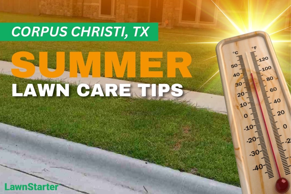 A house with a manicured lawn on an illustrated image with a thermometer and sunburst depicting summer heat.