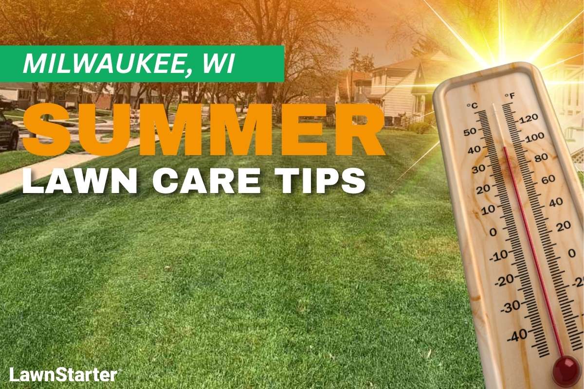 A house with a manicured lawn on an illustrated image with a thermometer and sunburst depicting summer heat.