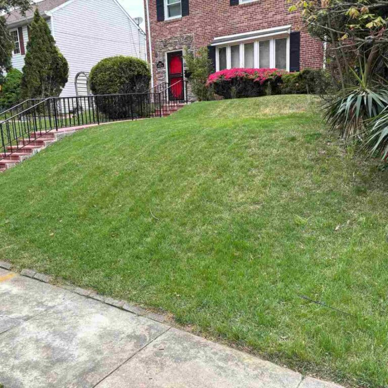 Front lawn with landscaping in Baltimore, MD