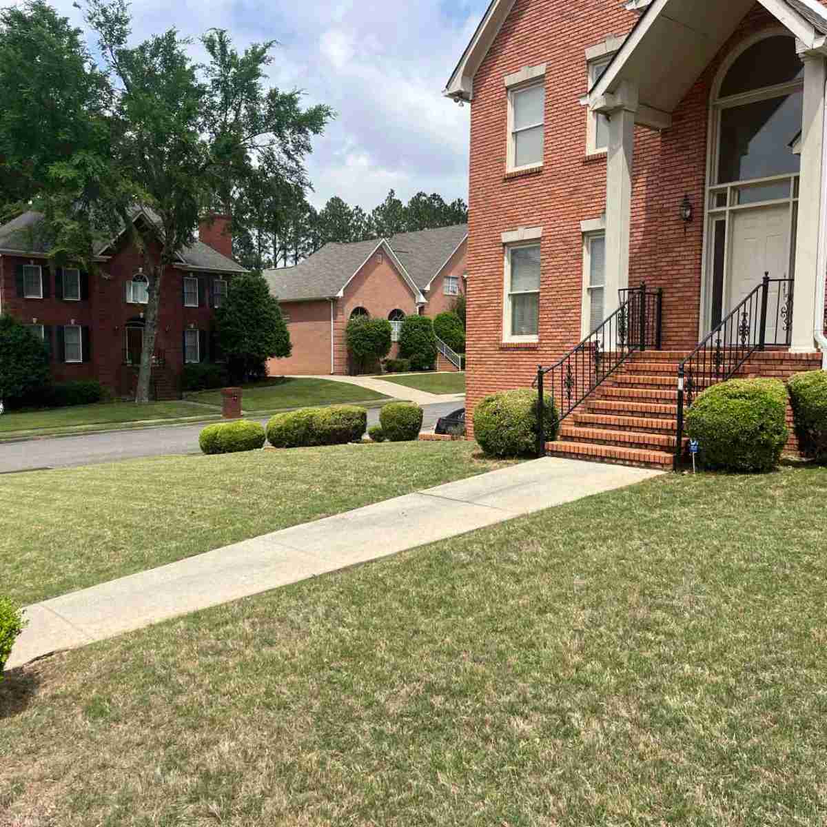 Fresh cut lawn in an Birmingham, AL neighborhood