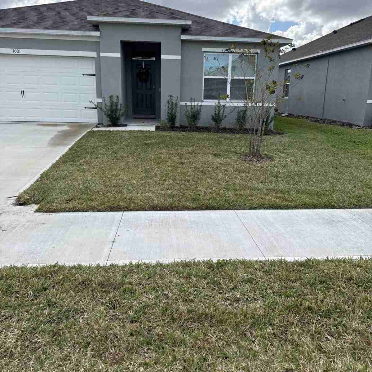 Fresh cut lawn in an Deltona, FL neighborhood
