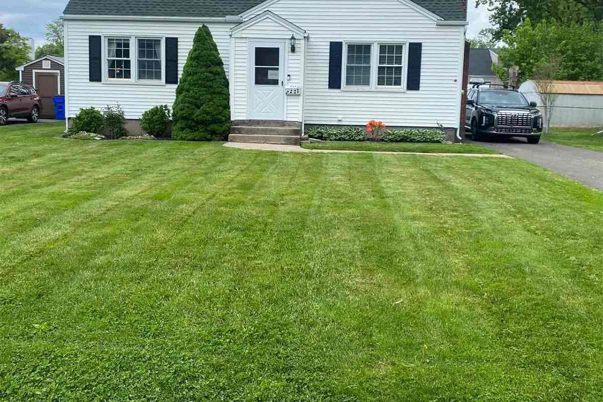 Fresh cut lawn in an Hartford, CT neighborhood