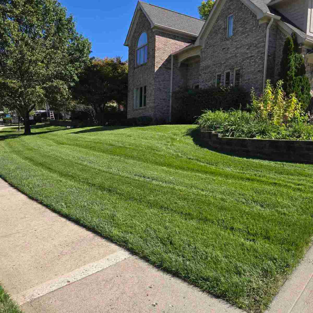 Fresh cut lawn with landscaping in an Indianapolis, IN neighborhood