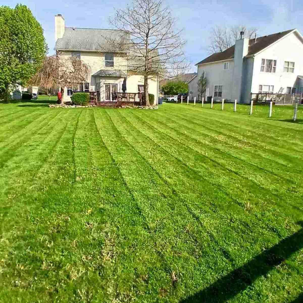 Fresh cut lawn in an Indianapolis, IN neighborhood