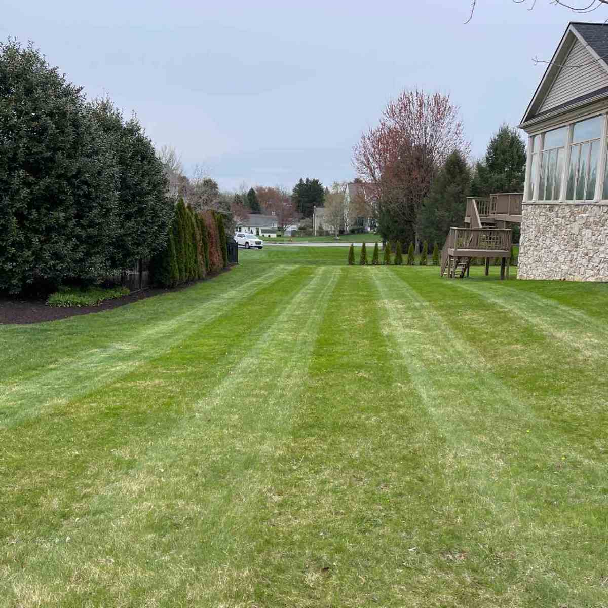 Fresh cut lawn in an Lancaster, PA neighborhood