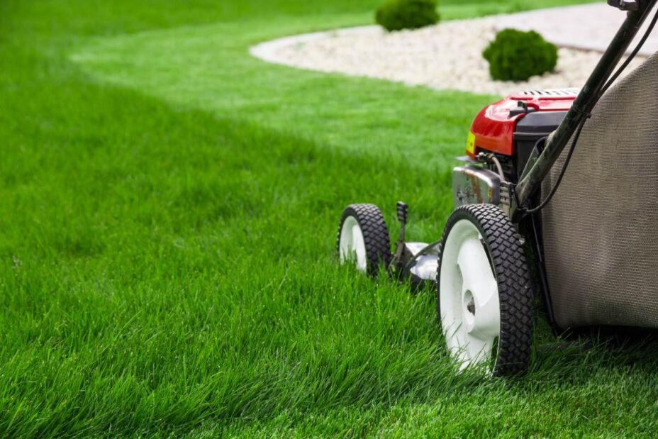 When to Mow After Overseeding Your Lawn