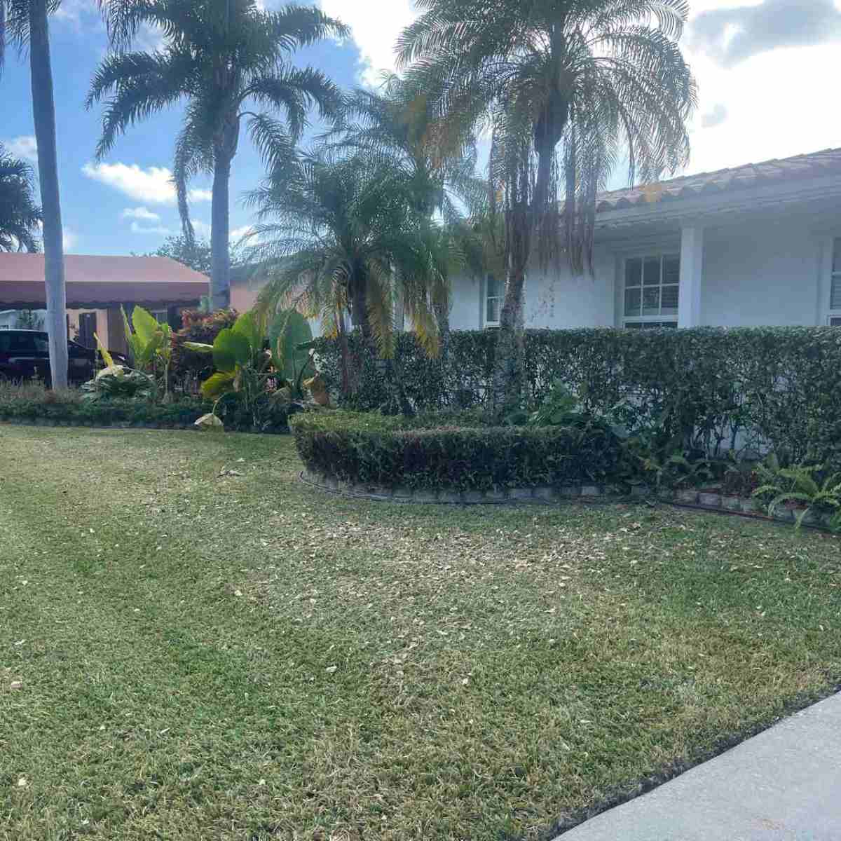 Miami FL home with palm trees and landscaping