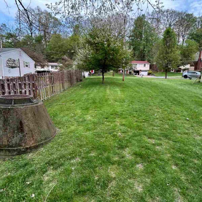 Fresh cut lawn in Pittsburgh, PA neighborhood