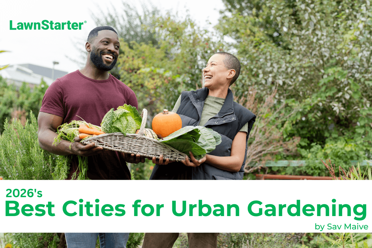 A couple smiles while holding a basket full of fresh vegetables from their urban farm
