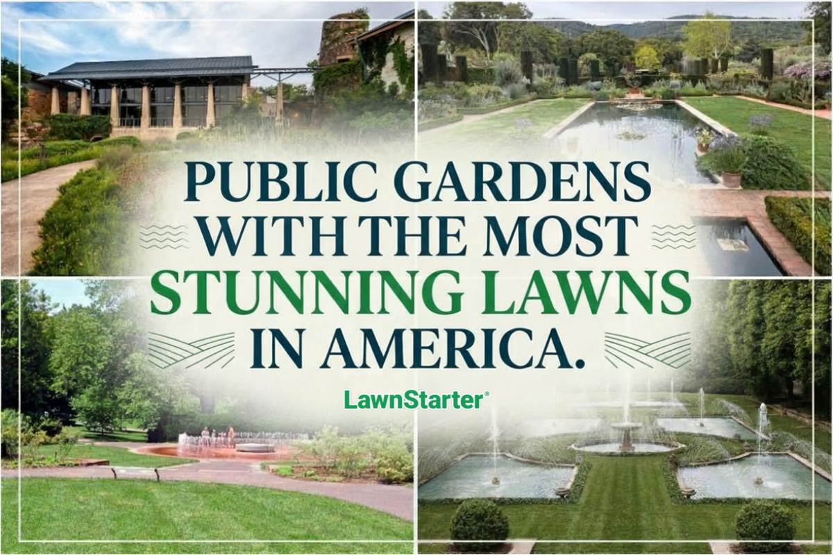 Collage of elegant public gardens with ponds, fountains, and lawns, overlaid with text promoting America’s most stunning public garden landscapes.
