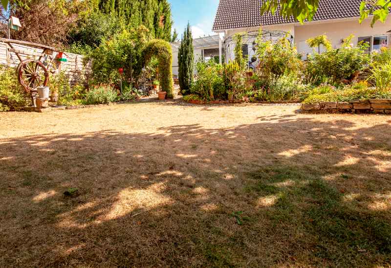 Patchy, dry lawn with brown and thinning grass showing damage from drought, sun exposure, and poor lawn conditions in residential garden