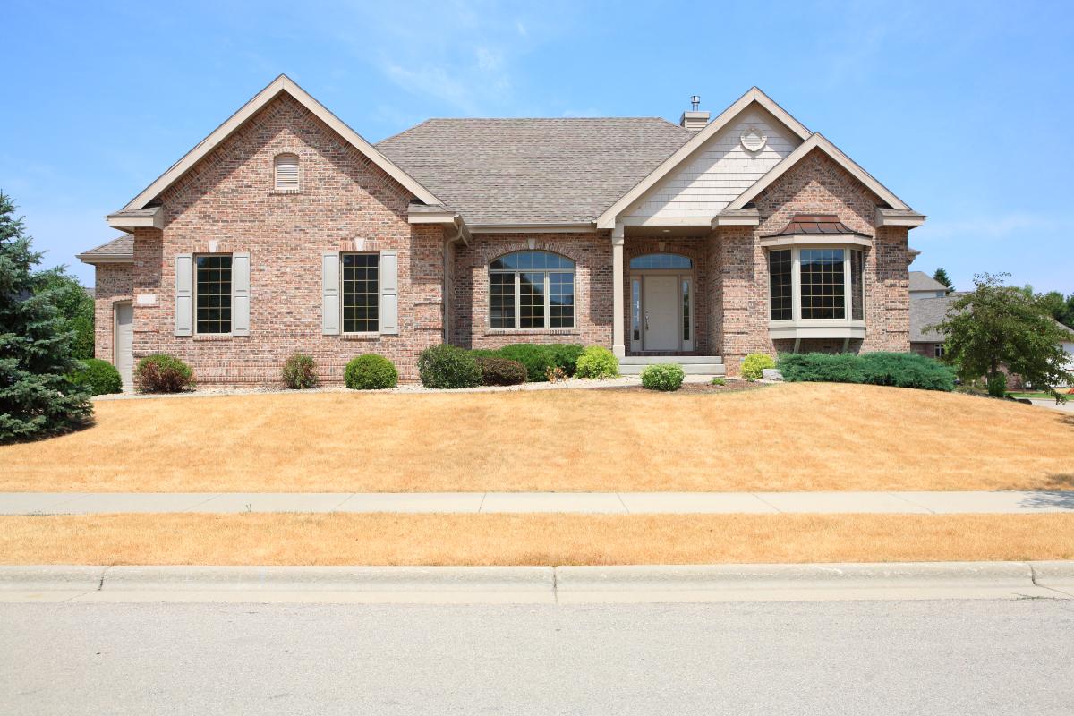 Dry, brown lawn in front of suburban Texas brick house during drought, showing dormant grass, clear sky, and typical residential neighborhood setting