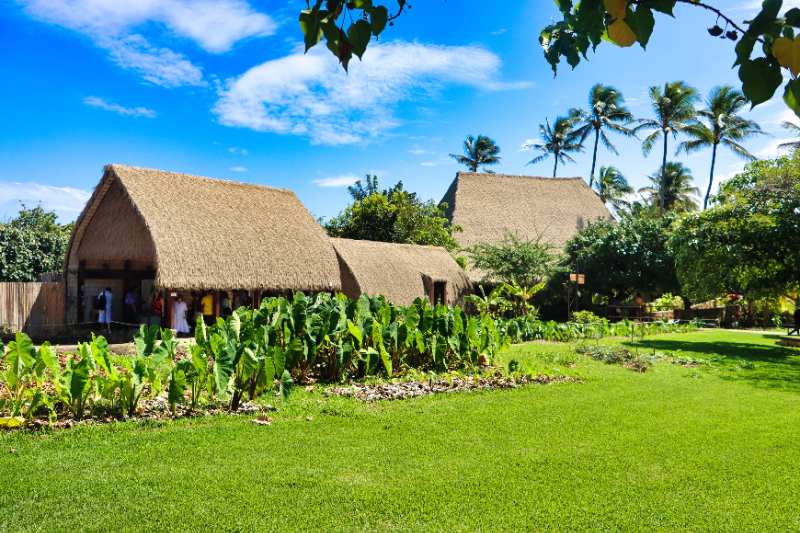 Traditional thatched houses in Honolulu, Hawaii, surrounded by green lawn, tropical plants, palm trees, and blue sky.