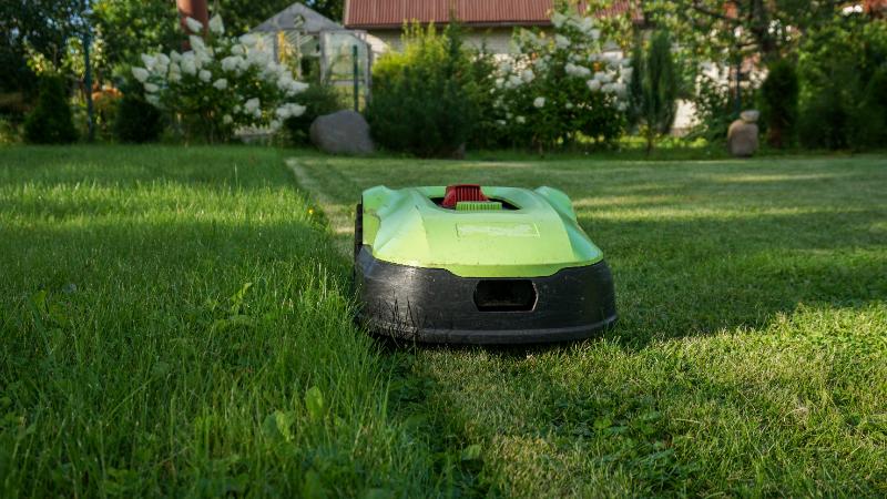 Robotic lawn mower cutting grass along the boundary wire with clear contrast between freshly mowed and unmowed areas