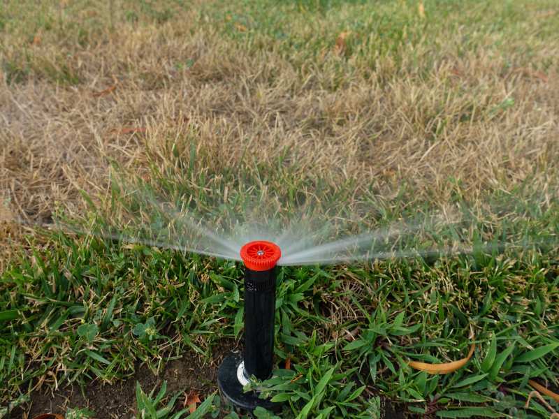 Sprinkler watering lawn during drought, showing patchy brown and green grass as irrigation helps restore moisture to stressed turf 