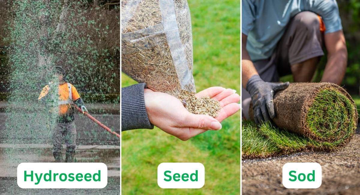 Split image compares lawn options: sod roll being installed, grass seed poured into hand, and hydroseeding sprayed onto soil.