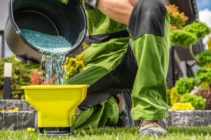 Gardener in green uniform kneeling on grass, pouring blue granular fertilizer from black bucket into yellow lawn spreader outdoors.