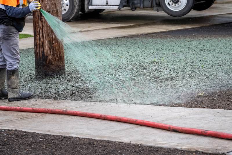 professional hydroseeding worker spraying grass mix