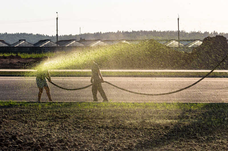 Two workers hydroseed a lawn with a long hose, spraying near greenhouses under warm evening light.