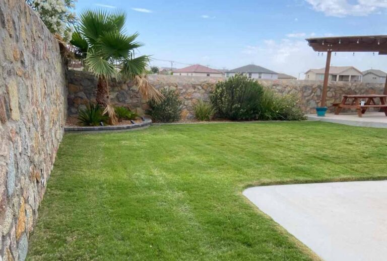 Well-maintained green lawn in El Paso backyard with stone walls, palm trees, shrubs, and shaded outdoor seating area.