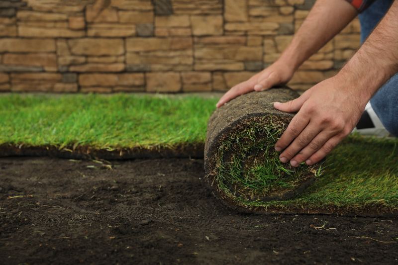 Close-up of a man's hands unrolling a roll of green grass sod onto bare soil in a backyard
