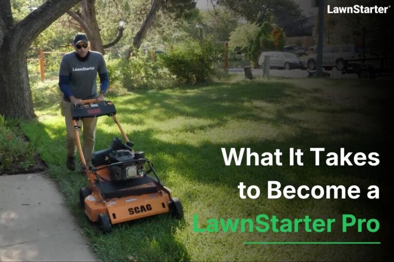 Justin Stultz pushes an orange mower along a sidewalk, cutting tall grass in a shaded residential yard.