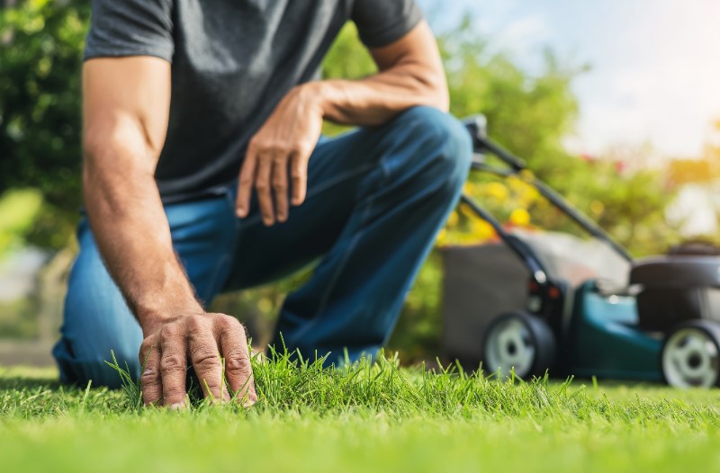 Person inspecting freshly mowed grass beside a lawn mower, checking lawn quality before approving completed lawn care service.