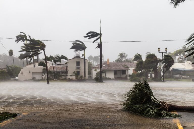 A flooded Florida street during Hurricane Irma with a fallen palm tree in the foreground, violent winds bending surrounding palm trees, and white stucco homes partially visible through heavy rain and storm surge.