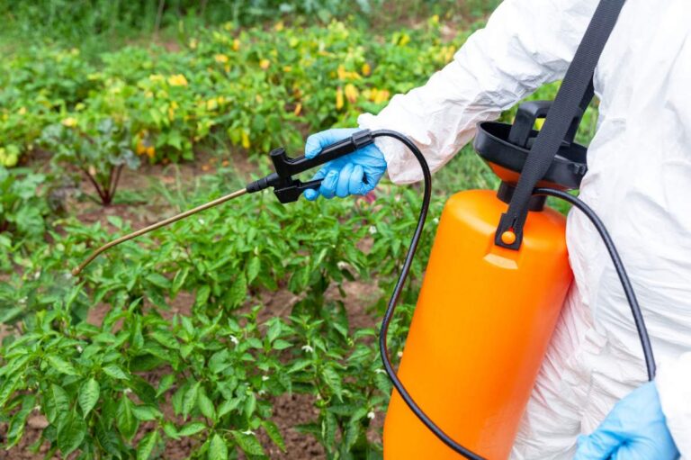 A person in a white protective suit and blue gloves spraying herbicide or weed killer on green garden plants using an orange sprayer.