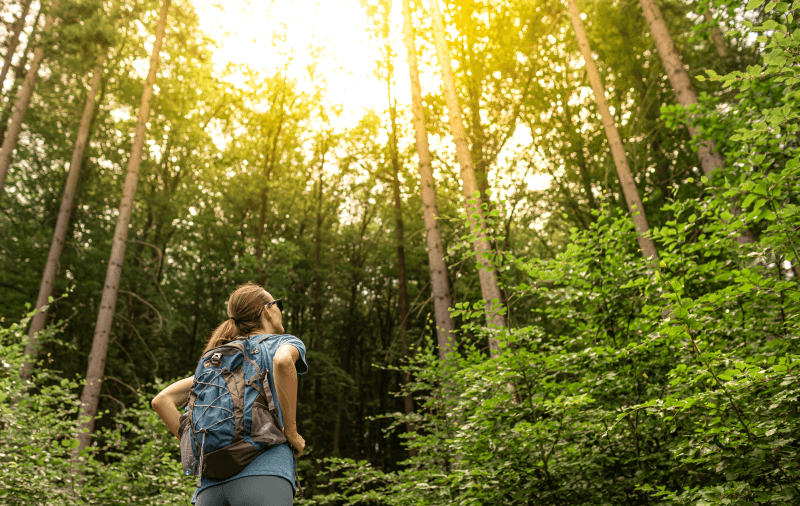 A woman with a backpack stands in a forest, looking up at tall trees and sunlight filtering through the canopy.