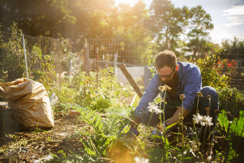 A man with glasses kneels in a garden, pulling weeds among flowers and plants on a sunny day.