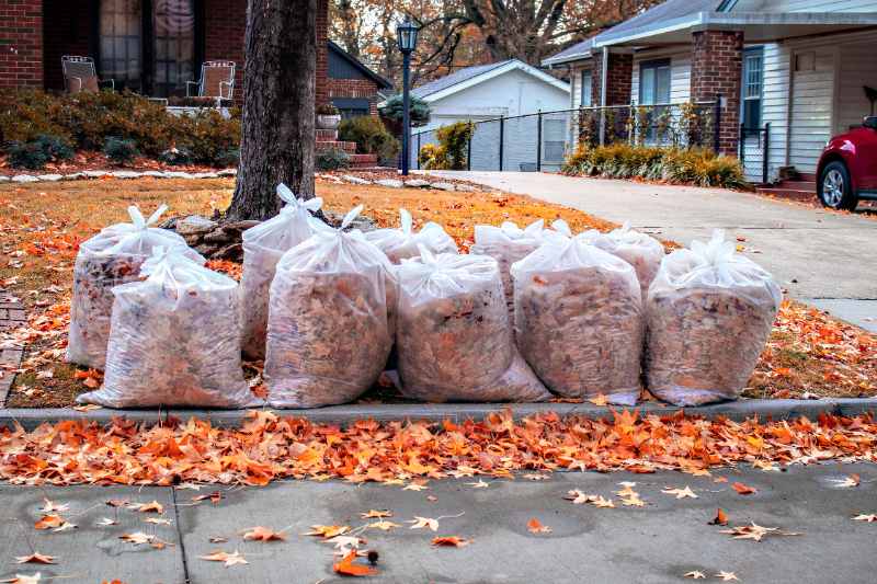 Nine large clear plastic bags stuffed with autumn maple leaves lined up along a residential curb beside a tree, with orange and red fallen leaves scattered across the sidewalk, lawn, and street in front of brick homes on a fall day.