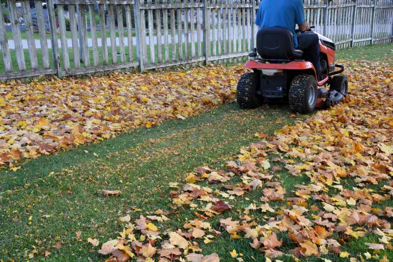 A person riding an orange lawn tractor mulches a thick layer of yellow and brown fallen autumn leaves into a green lawn, leaving a clean mowed strip behind, with a weathered wooden fence in the background.