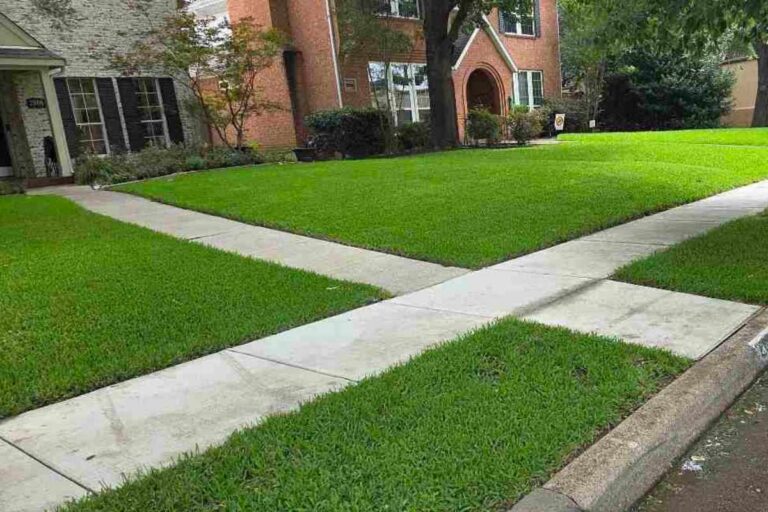 A neatly mowed, vibrant green front lawn with crisp concrete sidewalk edges in front of a two-story brick Tudor-style home with an arched entryway and mature shade trees in Dallas, Texas.
