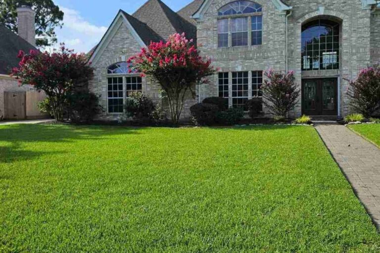 A lush, freshly mowed bright green front lawn stretches across a large two-story light brick home in Houston, Texas, with blooming pink and red crepe myrtles, dark red knockout roses, manicured shrubs, and a brick paver walkway under a sunny blue sky.