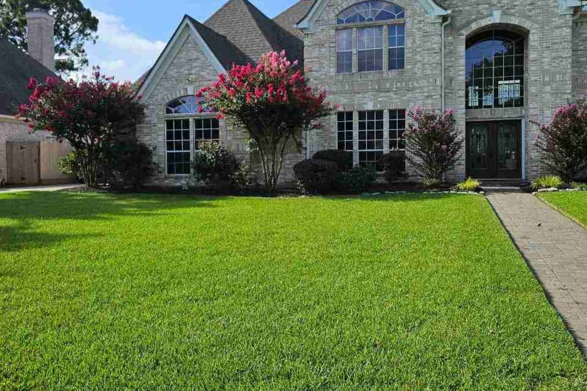 9 Fall Lawn Care Tips for Houston A lush, freshly mowed bright green front lawn stretches across a large two-story light brick home in Houston, Texas, with blooming pink and red crepe myrtles, dark red knockout roses, manicured shrubs, and a brick paver walkway under a sunny blue sky.