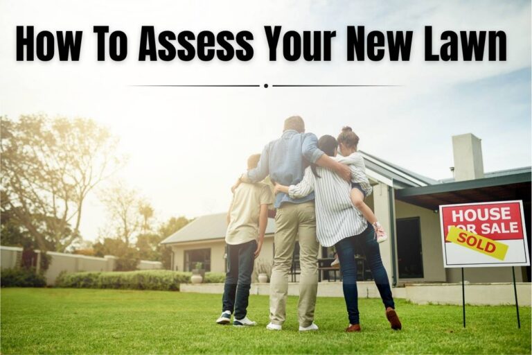 A family of four stands with their backs to the camera on a lush green lawn, arms wrapped around each other, gazing at their newly purchased single-story home beside a
