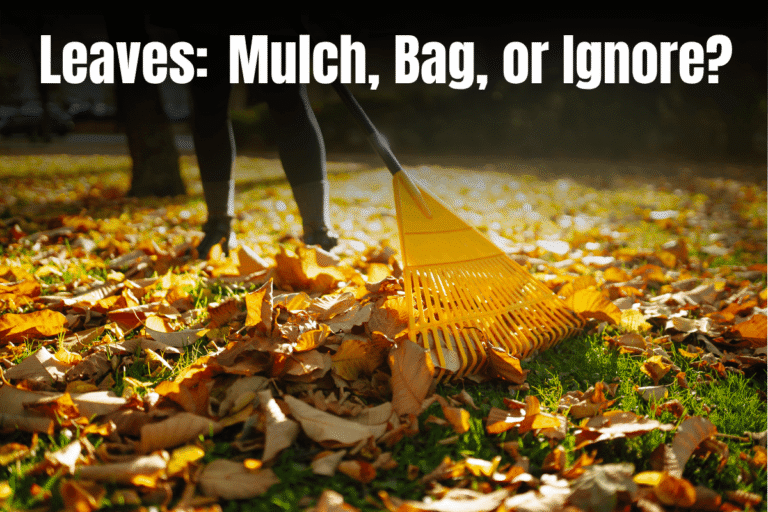 A woman in a yellow rake gathers a large pile of golden and brown fallen autumn leaves on a sunlit green lawn, with bold white text overlay reading