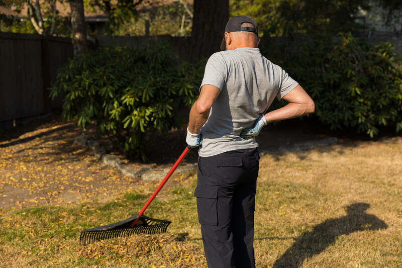 A man wearing a gray t-shirt and cap holds his lower back in pain while standing next to a rake in a leaf-covered backyard.