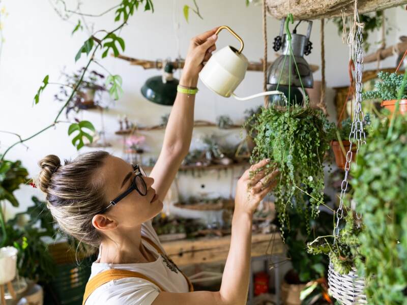 A woman wearing glasses waters a hanging plant indoors, surrounded by houseplants.
