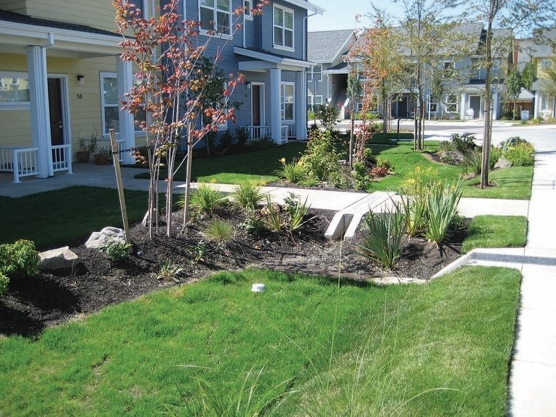 Rain garden landscaping in a townhouse courtyard with young trees, mulched beds, and green lawns along a concrete walkway.