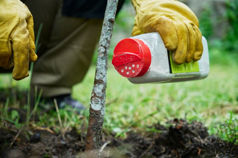 A gardener wearing yellow protective gloves holds a container of diatomaceous earth powder with a red shaker cap, preparing to apply it near a young tree trunk.