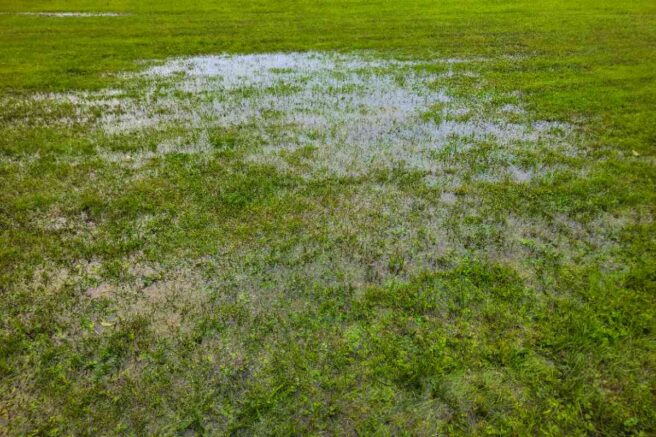 A green residential lawn with a large pooling area of standing water in the center, surrounded by patches of waterlogged grass and weeds, indicating poor yard drainage after heavy rain.