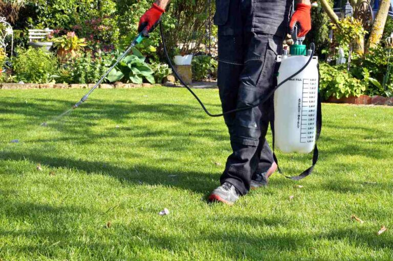 A person wearing black pants and red gloves walks across a lush green lawn while spraying herbicide from a handheld wand connected to a portable pump sprayer tank, with a garden border of flowering plants visible in the background.